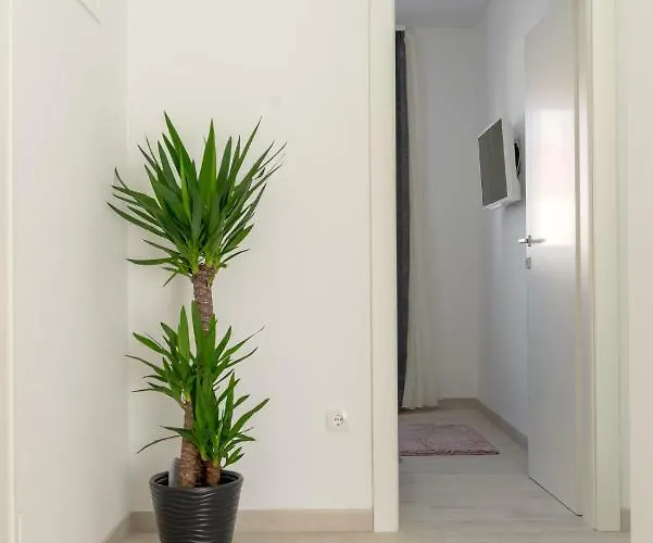 New In Town Center 公寓